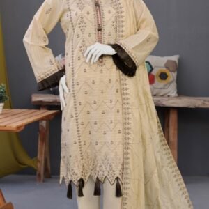Lawn Embroidered 3Pis Art003
